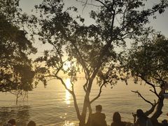 -宝安西湾红树林湿地公园