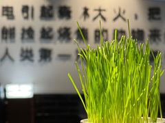 -很久以前羊肉串(中山公园店)