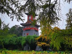 -四川大学(华西校区)