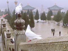 -龙口南山旅游景区