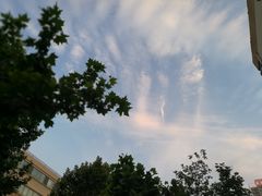 -好利来(高新枫叶广场店)