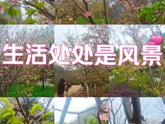 -南溪山景区