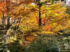 -三千院