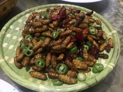 -向民炒鸡老店(火车站店)