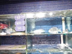 -迎悦轩(维景湾店)