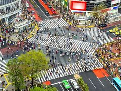 -涩谷全向十字路口