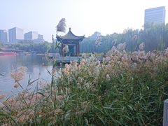 -莲花池公园
