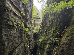 -梭布垭石林景区