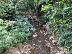 -深圳仙湖植物园