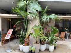 -ROIIN用心(杭州首店)