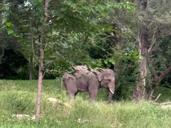 -北京野生动物园