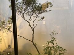 -花锦堂·隐庐