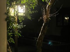 -萬國春·中菜馆(颐和公馆店)