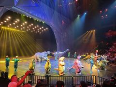 -重庆国际马戏城