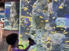 -福州罗源湾海洋世界旅游区