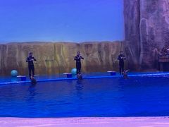 -华夏文旅海洋公园