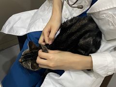 -阿荣24H宠物医院·综合型转诊中心·CT·核磁影像中心