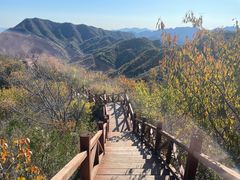 -大岭沟猕猴桃谷风景区