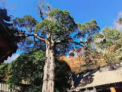-青岛崂山太清宫