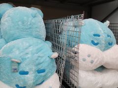 -盒马X会员店(上海森兰商都店)