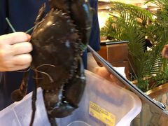 -石头咕(葵蓬店)