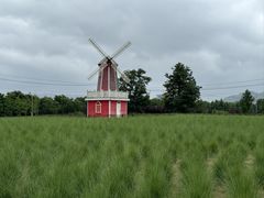 -羊亭河湿地公园