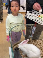 -小象动悟公园(龙湖亦庄天街店)