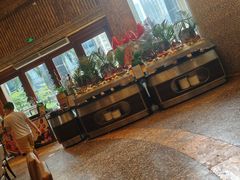 -怡聚轩全日制自助餐厅(大中华喜来登酒店)