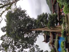 -峨眉山报国寺