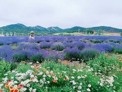 -西海岸生态观光园
