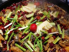 -老板恋上鱼(恒隆广场店)