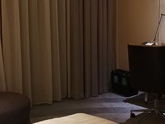 -苏州金鸡湖文博诺富特酒店