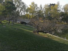 -钓鱼台国宾馆
