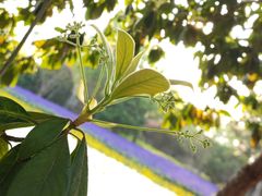 -上海市龙华烈士陵园