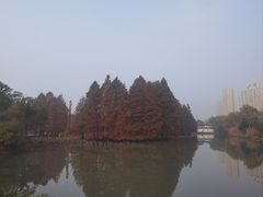 -白塘生态植物园
