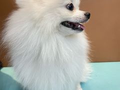 -联合动物医院(光谷诊疗中心)