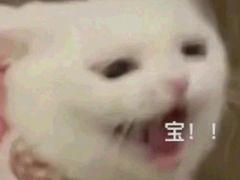 -教师之家赵家羊汤馆(东青龙街店)