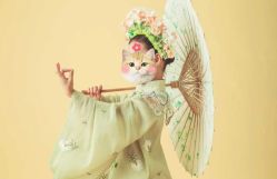 -倾城宝贝儿童摄影(浦东金谊店)