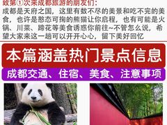 -王婆婆老妈蹄花川菜馆·非物质文化遗产(太古里一店)