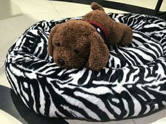 -1013 PET SHOP 宠物商店(近铁城市广场店)