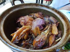 姜母鸭-斯丹姜母鸭·古法干香(涂门街总店)