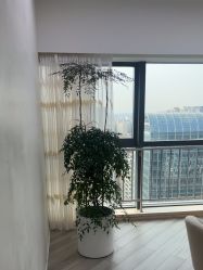 -HEYAN荷妍专业脱毛连锁机构