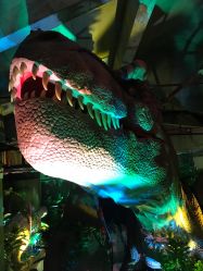 -恐龙探索乐园(磁器口店)