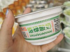 -德禄酸奶(莫家街店)