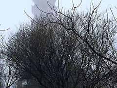 -巢湖姥山岛