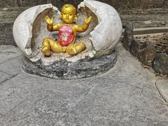 -西双版纳原始森林公园