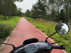 -绿堤公园