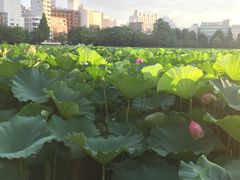 -伊豆荣(不忍亭店)