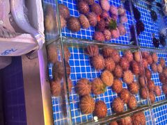 -桃源市场(解放路店)