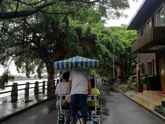 -大湾区中央湿地公园